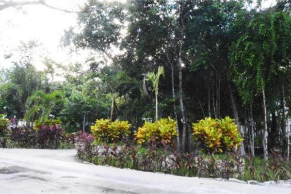 Villa La Casa del Arbol Puerto Morelos Exterior foto