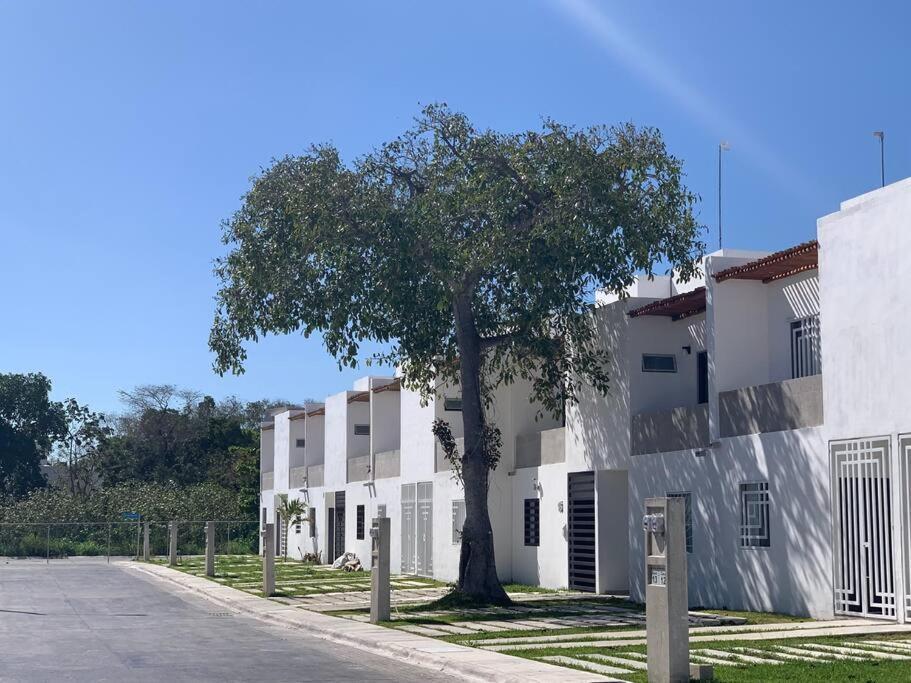 Villa La Casa del Arbol Puerto Morelos Exterior foto